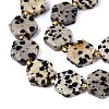 Natural Dalmatian Jasper Beads Strands G-N368-01A-03-4
