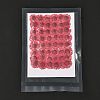 Centaurea Iberica Embossing Dried Flower DIY-K032-65K-2