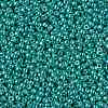 TOHO Round Seed Beads SEED-TR11-PF0569-2