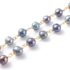 1 Strand Handmade Cultured Freshwater Pearl Beaded Chains AJEW-SZ0002-05-2
