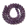 Natural Gemstone Beads Strands G-S035-6