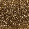 MIYUKI Delica Beads X-SEED-J020-DB0181-3