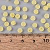 FGB Frosted Transparent Glass Seed Beads SEED-N013-04A-02-4