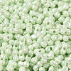 Opaque Colours Luster Glass Seed Beads X1-SEED-B001-01A-10-3