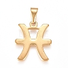 304 Stainless Steel Pendants X1-STAS-L210-06B-G-01-1