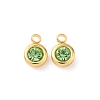 304 Stainless Steel Charms STAS-Z115-01G-01-1