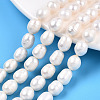 Natural Cultured Freshwater Pearl Beads Strands PEAR-N012-08I-1