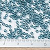 MIYUKI Round Rocailles Beads SEED-JP0008-RR0305-2