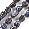Dyed Natural Trochus Shell Beads Strands BSHE-Z006-02B-1