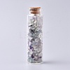 Glass Wishing Bottle DJEW-L013-A14-1