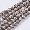 Natural Maifanite/Maifan Stone Beads Strands G-I187-8mm-01-2