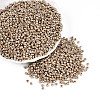 8/0 Glass Seed Beads SEED-A017-3mm-1107-1