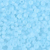 FGB Frosted Transparent Glass Seed Beads SEED-N013-04A-11-3