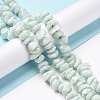 Natural Glass Beads Strands G-G925-06-2