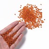 8/0 Glass Seed Beads X2-SEED-A005-3mm-29-4