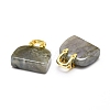 Natural Labradorite Brass Pendants KK-E274-01G-04-3