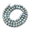 Natural Larimar Beads Strands G-B156-A01-6mm-3