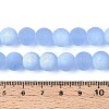 Frosted Transparent Glass Beads Strands LS-GLAA-T032-T10mm-MBB04-4
