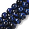Natural Tiger Eye Bead Strands G-P230-08-B-14mm-1