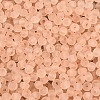 FGB Frosted Transparent Glass Seed Beads SEED-N013-04A-03-3