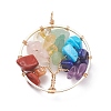 Gemstone Copper Wire Wrapped Chips Pendants PALLOY-JF01406-1