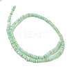 Dyed Natural Freshwater Shell Beads Strands BSHE-G039-07E-2