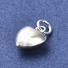 925 Sterling Silver Pendants STER-P057-07C-S-2