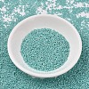 MIYUKI Delica Beads SEED-JP0008-DB1567-2