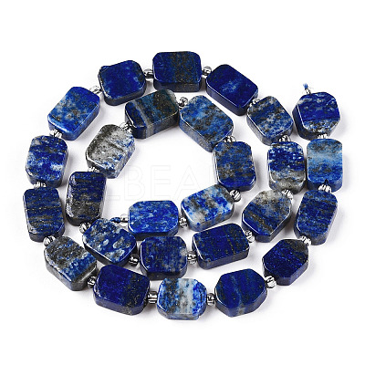 Natural Lapis Lazuli Beads Strands G-T138-14-1