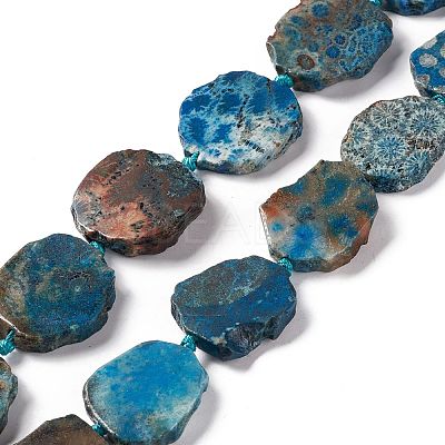 Natural Fossil Coral Beads Strands G-F719-25-1