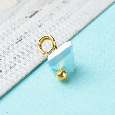 Electroplate Glass Charms PALLOY-JF00821-03-1