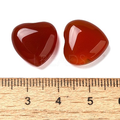Natural Carnelian Cabochons G-F776-02A-02-1