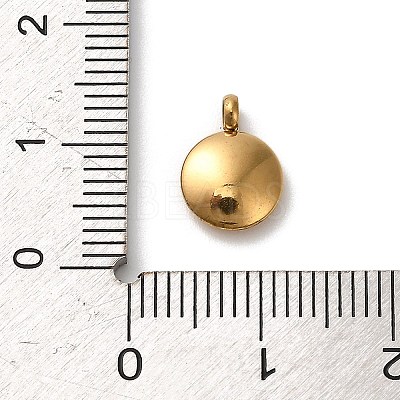 304 Stainless Steel Black Enamel Charms LS-STAS-R009-02G-07-1