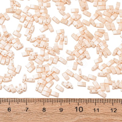 MIYUKI Half TILA Beads X-SEED-J020-HTL593-1
