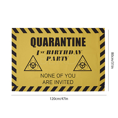 2020 Quarantine Birthday Decorations AJEW-GF0001-64B-1