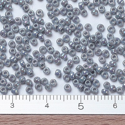 MIYUKI Round Rocailles Beads X-SEED-G007-RR0489-1