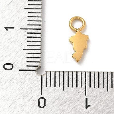 Ion Plating(IP) 304 Stainless Steel Enamel Charms STAS-G351-06G-03-1