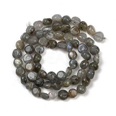Natural Labradorite Beads Strands G-Q060-B02-1