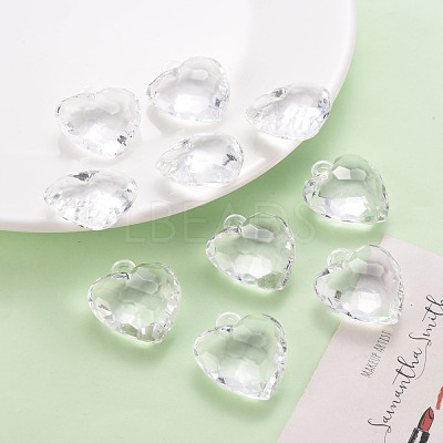 Transparent Acrylic Pendants TACR-T024-03B-205-1