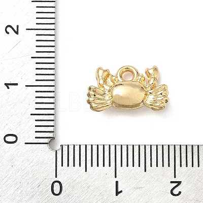 Alloy Charms FIND-Z101-04G-04-1