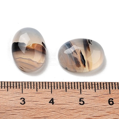 Natural Dendritic Agate Cabochons G-G145-01B-57-1