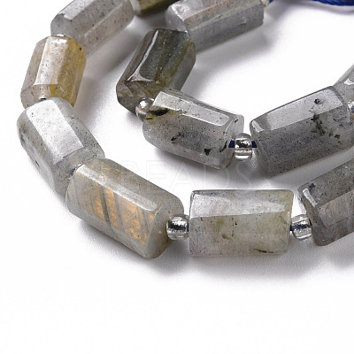 Natural Labradorite Beads Strands X-G-S345-8x11-001-1