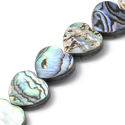 Natural Paua Shell Beads Strands SHEL-F006-04-1