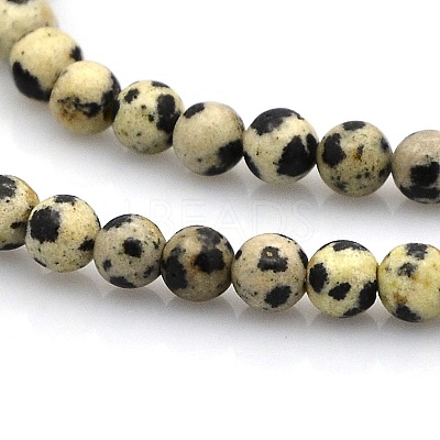 Round Natural Dalmatian Jasper Beads Strands G-N0120-23-4mm-1