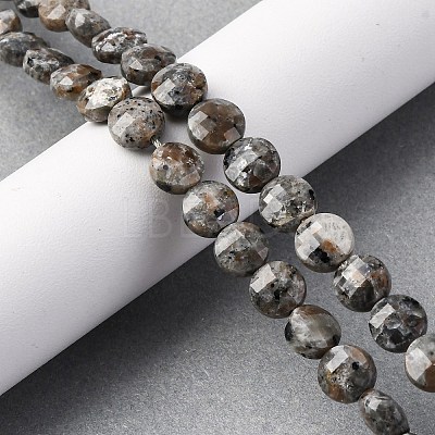Natural Fluorescent Syenite Rock(Glow under UV Light) Beads Strands G-C179-A39-03-1