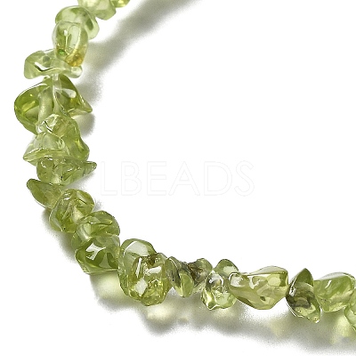 Natural Peridot Beads Strands X-G-E607-A06-1
