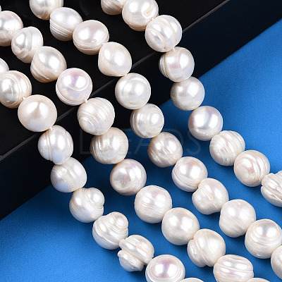Natural Cultured Freshwater Pearl Beads Strands PEAR-N013-10F-1