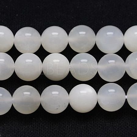 Natural Moonstone Beads Strands G-G448-8mm-30-1