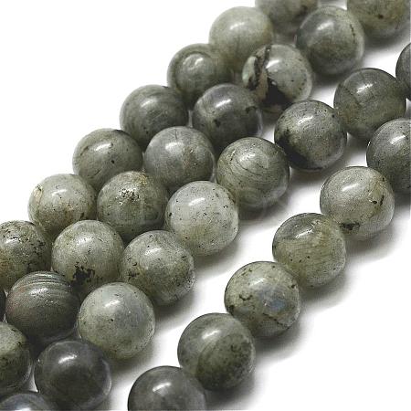 Natural Labradorite Bead Strands G-P256-01-10mm-1