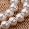 Polished Round Grade A Shell Pearl Bead Strands X-BSHE-M027-10mm-28-1